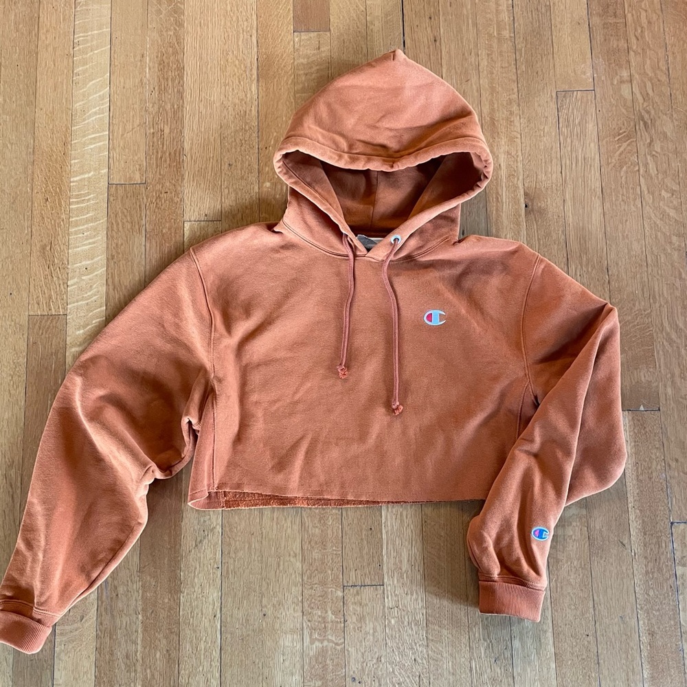 Champion reverse weave cropped hoodie sweatshirt.